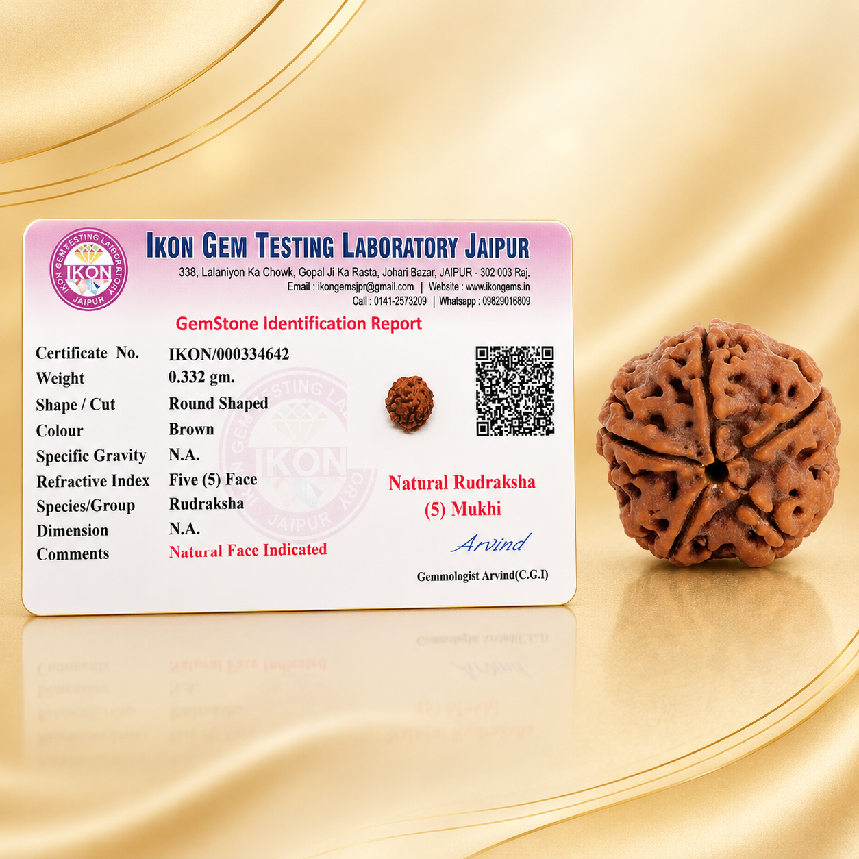 Authentic 5 Mukhi (Five-faced) Rudraksha Bracelet