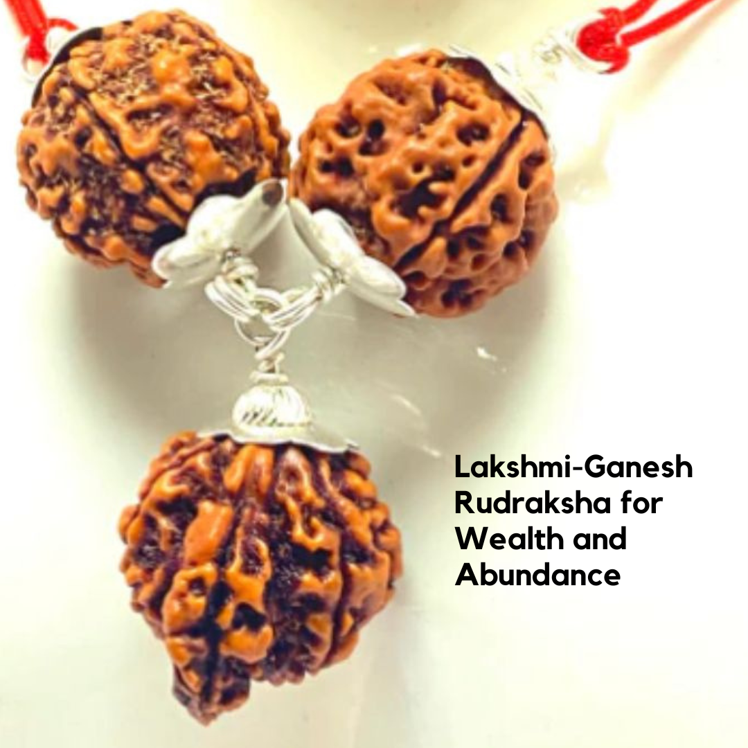 Lakshmi Ganesh Kavach Combination in Pure Silver Capping (Certified)