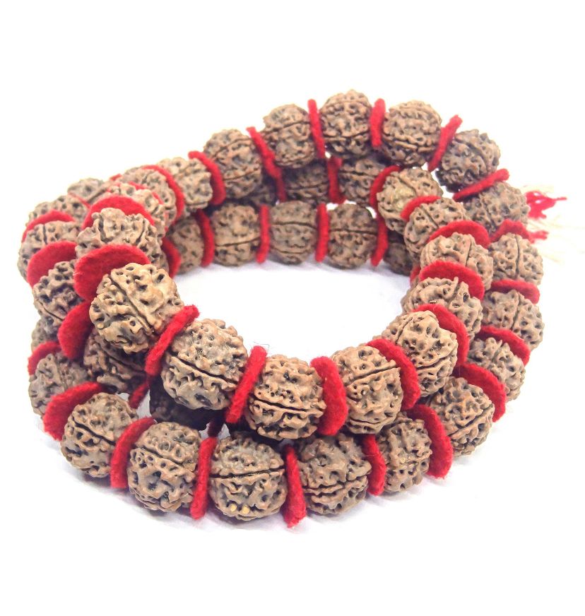 5 Mukhi Natural Rudraksh Kantha Mala (Certified)