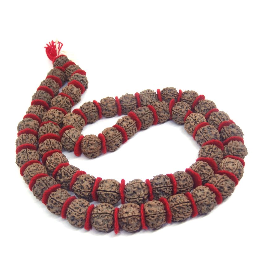 5 Mukhi Natural Rudraksh Kantha Mala (Certified)