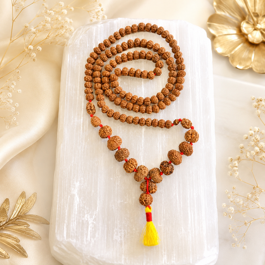 Rudraksha Siddh Mala 1 - 14 Rudraksha (Nepal) (Certified)