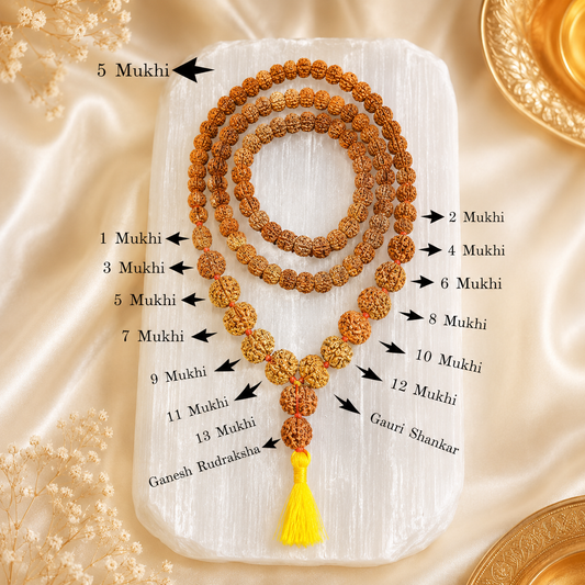 Rudraksha Siddh Mala 1 - 14 Rudraksha (Nepal) (Certified)