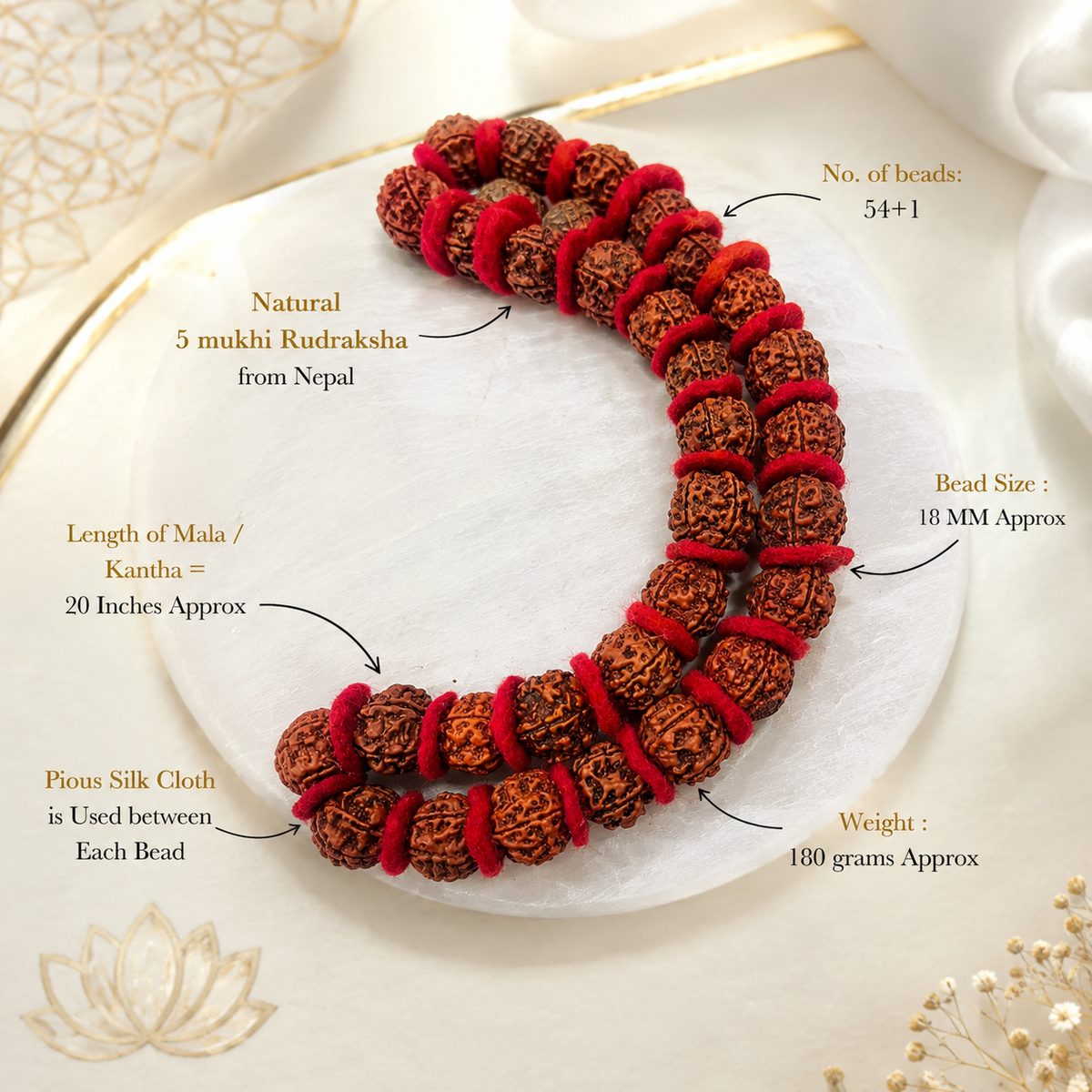 5 Mukhi Natural Rudraksh Kantha Mala (Certified)
