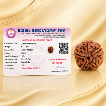 Shiva Shakti Rudraksha Kavach With 5 Mukhi Rudraksha Trishul Damru Pendant