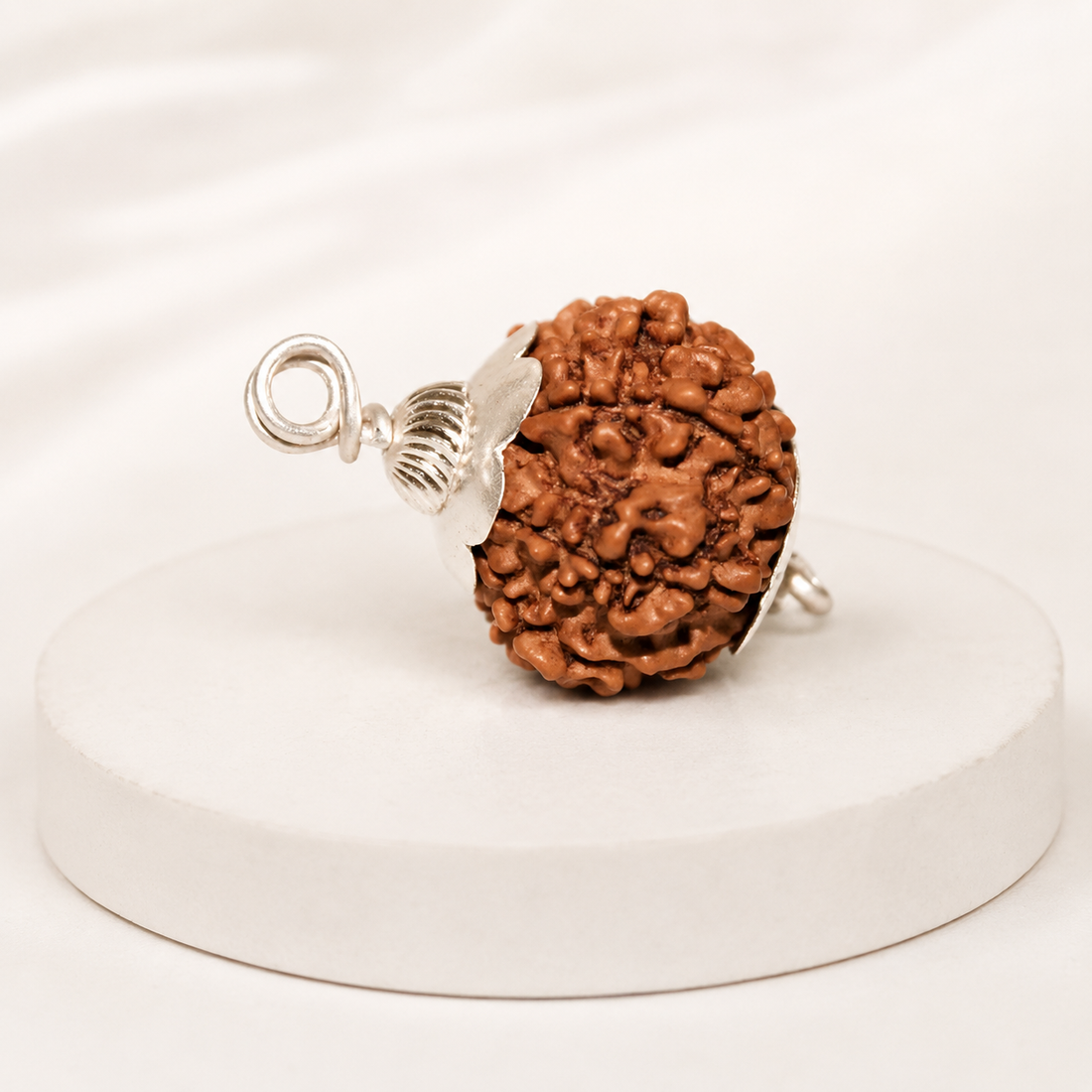 Original 12 Mukhi Rudraksha With Silver Capping (Certified)