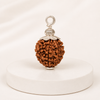 Original 12 Mukhi Rudraksha With Silver Capping (Certified)