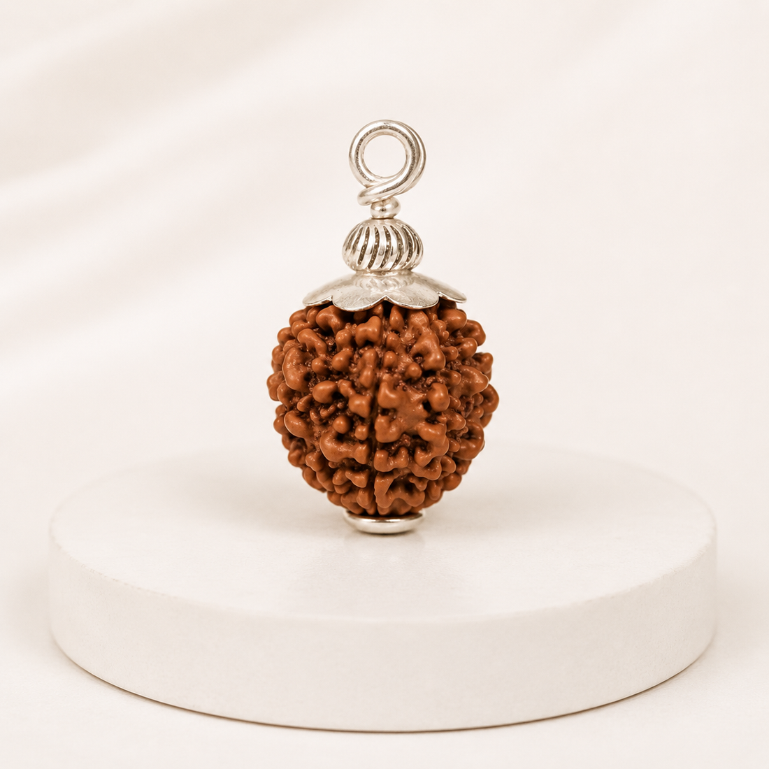 Original 12 Mukhi Rudraksha With Silver Capping (Certified)