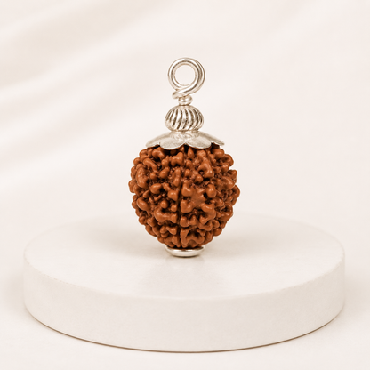 Original 12 Mukhi Rudraksha With Silver Capping (Certified)