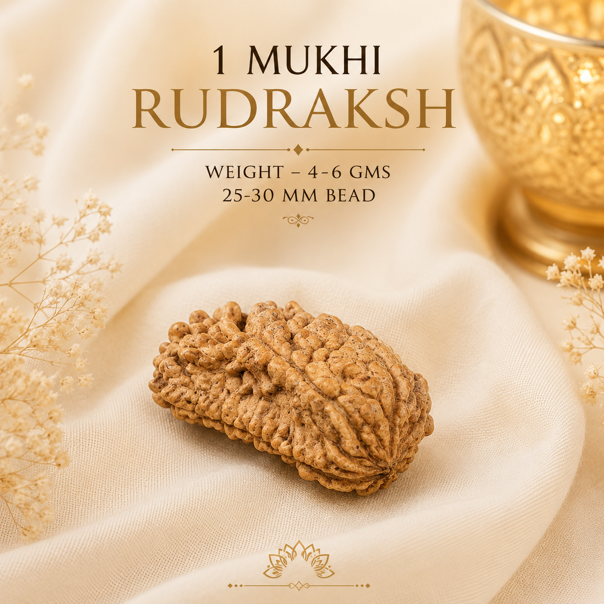 Authentic 1 Mukhi (One-faced) Rudraksha