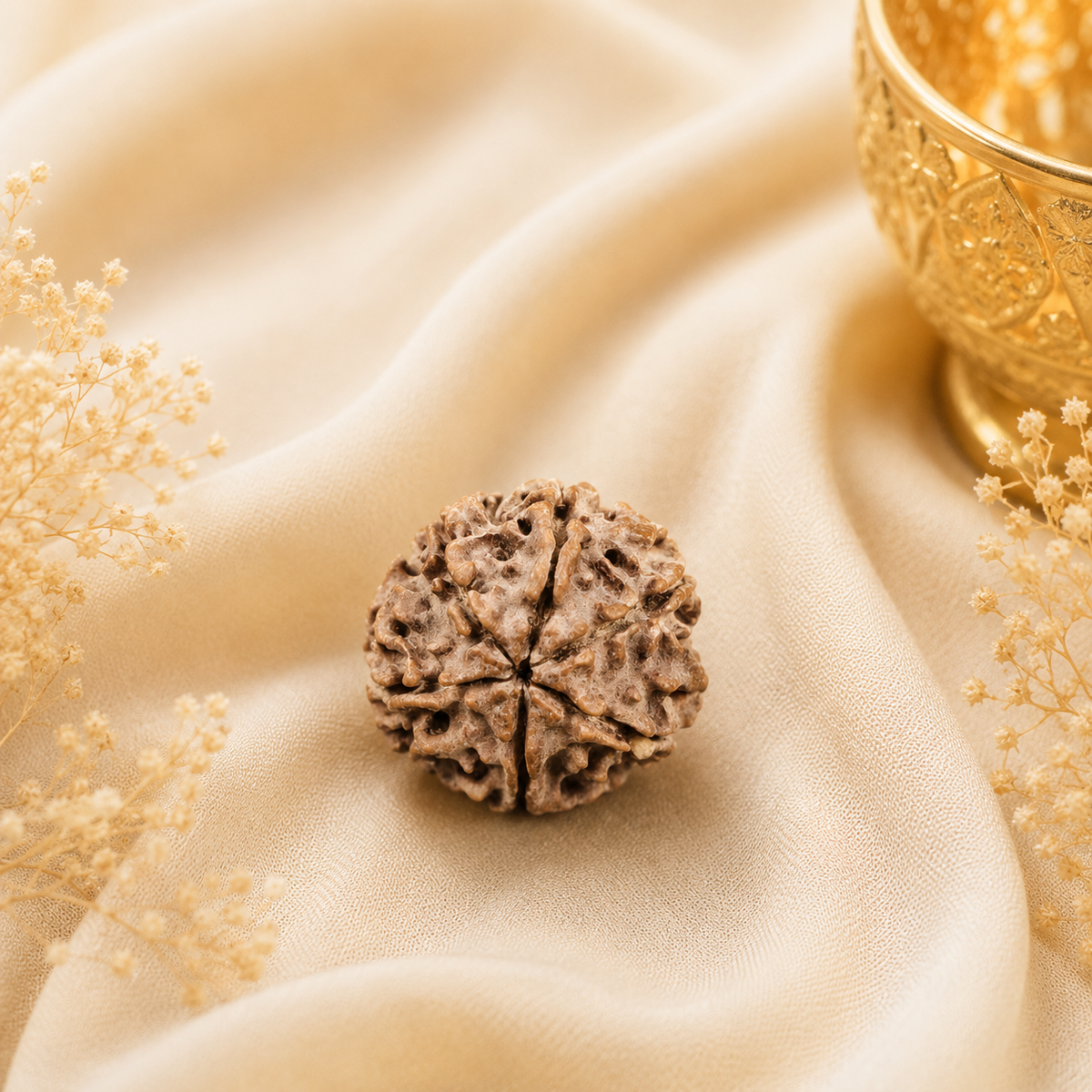 Authentic 6 Mukhi (Six-faced) Nepal Rudraksha