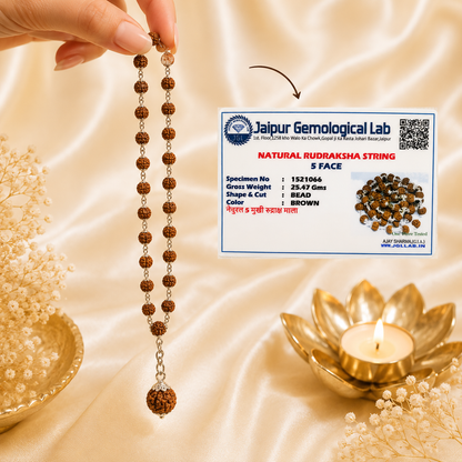7 Mukhi Nepal Rudraksha Mala in Pure Silver (Certified)