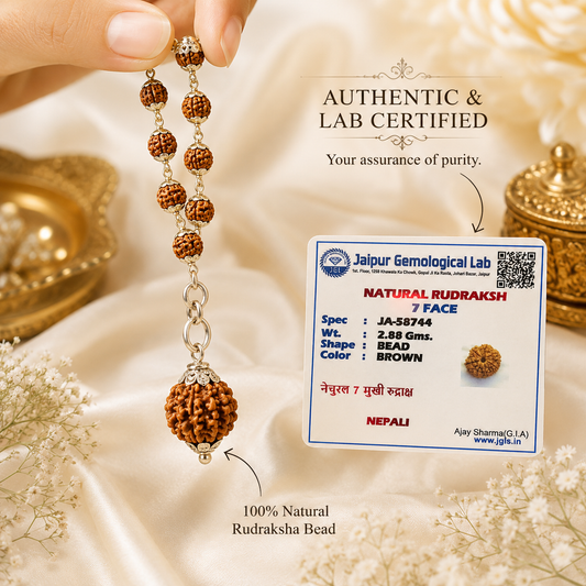 7 Mukhi Nepal Rudraksha Mala in Pure Silver (Certified)