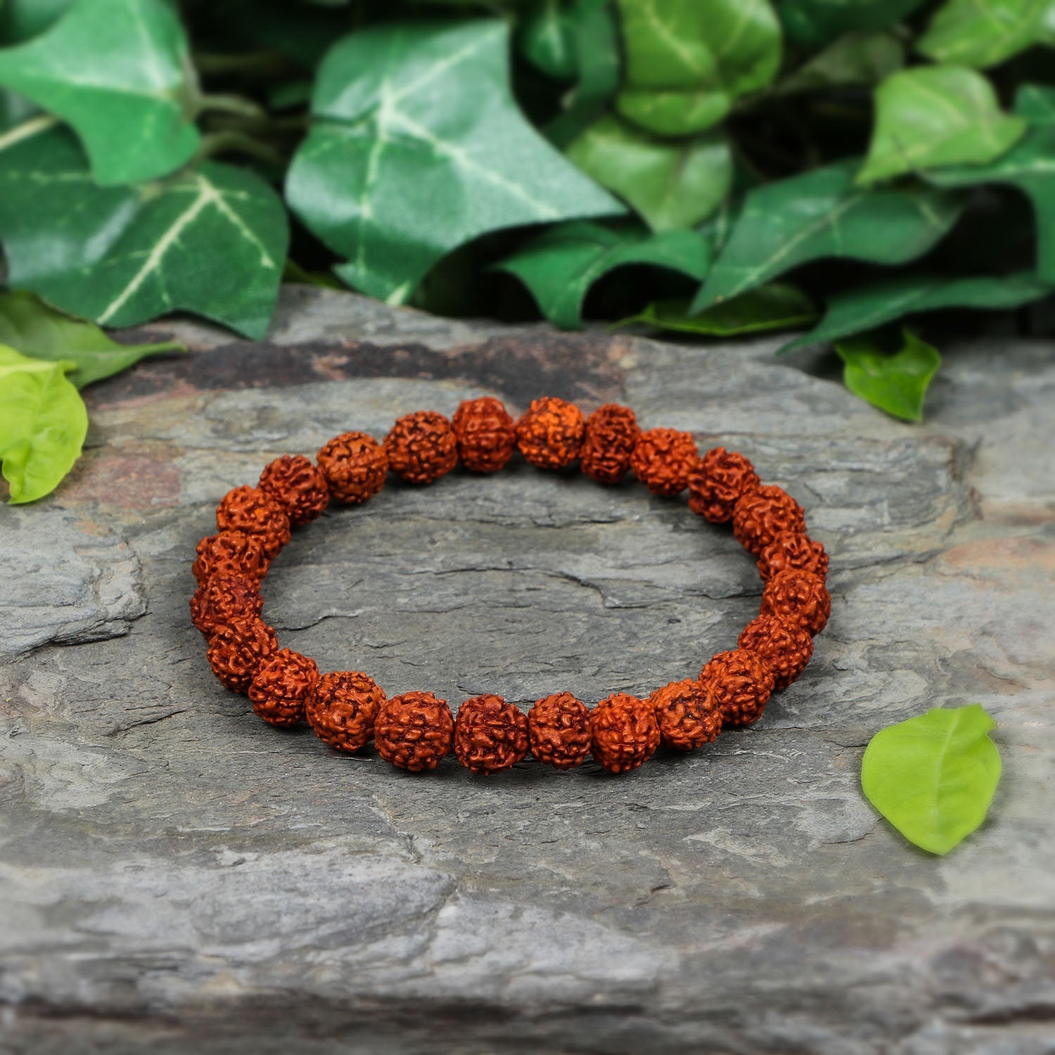 Authentic 5 Mukhi (Five-faced) Rudraksha Bracelet