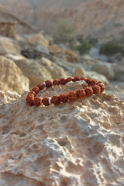 Authentic 5 Mukhi (Five-faced) Rudraksha Bracelet